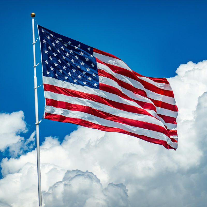 Naturalization process